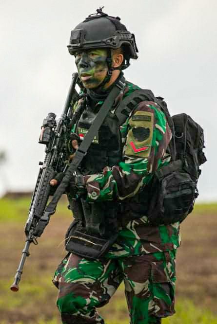 TNI Berbisnis Tidak Mengganggu Profesionalitas