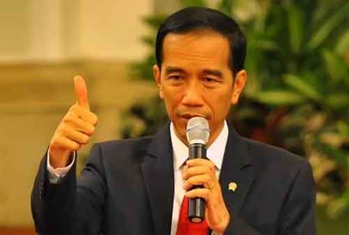 Janji Jokowi Ikuti Putusan MK